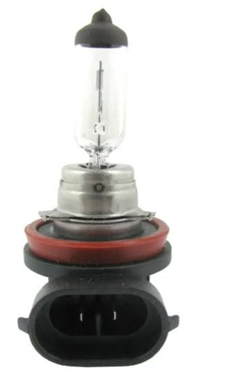 H-8 AMPOLLETA 12V 35W PGJ19-1 FOCUS